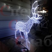 Фотозона "Олень Благородный" 1.8м